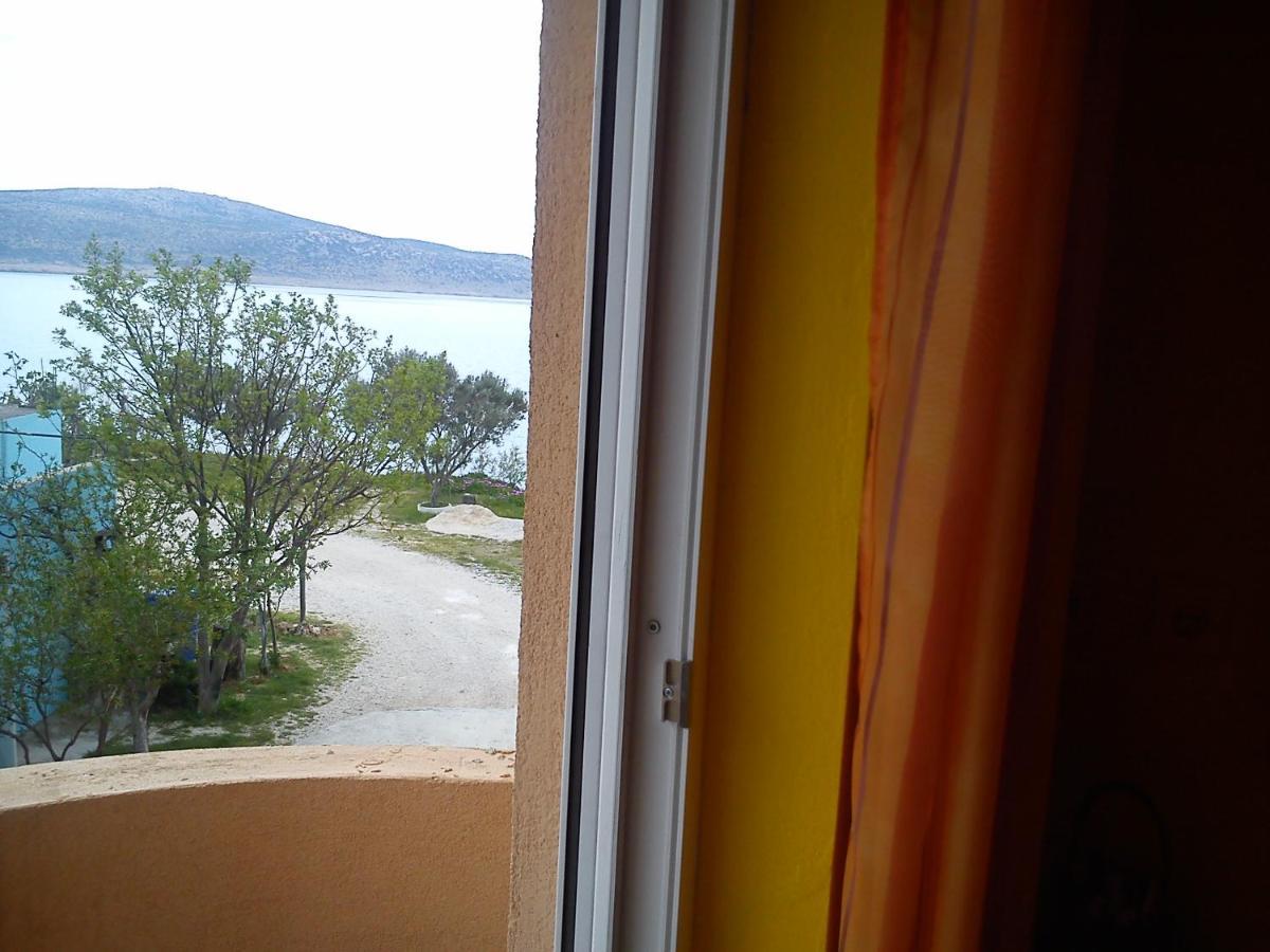 Apartman Atanasov 塞利讷 外观 照片
